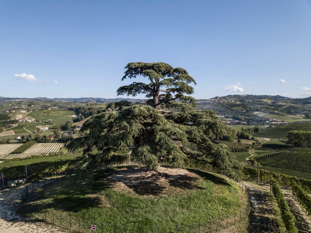 Agrisuite Il Cedro La Morra Eksteriør billede